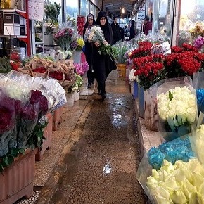 گل فروشی های تهران را چگونه پیدا کنیم؟