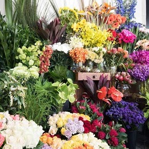 گل فروشی های تهران را به راحتی بشناسید 
