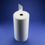 کاغذ نسوز سرامیکی یک نوع کاغذ خاص است که از مواد سرامیکی ساخته شده و معمولاً در شرایط حرارتی بالا و در معرض آتش قرار می‌گیرد بدون اینکه سوخته شود. این کاغذ معمولاً در برخی از صنایع مهم استفاده می‌شود.